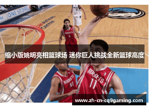 缩小版姚明亮相篮球场 迷你巨人挑战全新篮球高度
