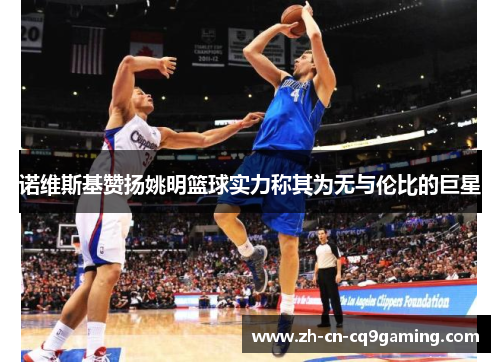 诺维斯基赞扬姚明篮球实力称其为无与伦比的巨星