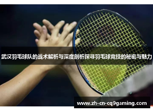 武汉羽毛球队的战术解析与深度剖析探寻羽毛球竞技的秘密与魅力